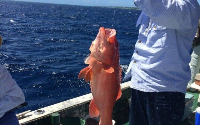 Minshuku Funatsukiba