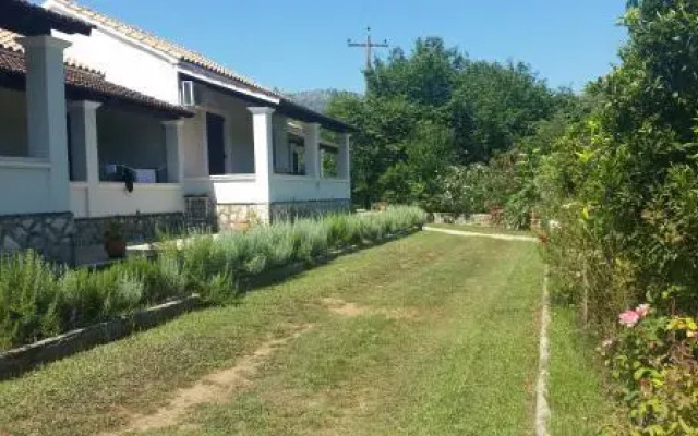 Lemontree Apartments