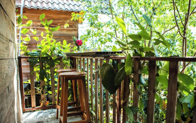 September Garden