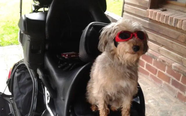 La Maison de lEpousée B&B