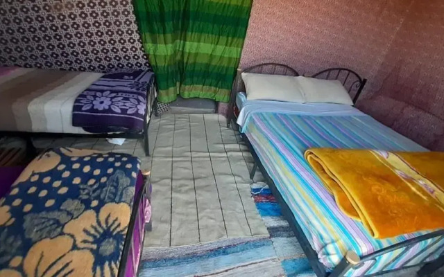 Desert Queen Camp