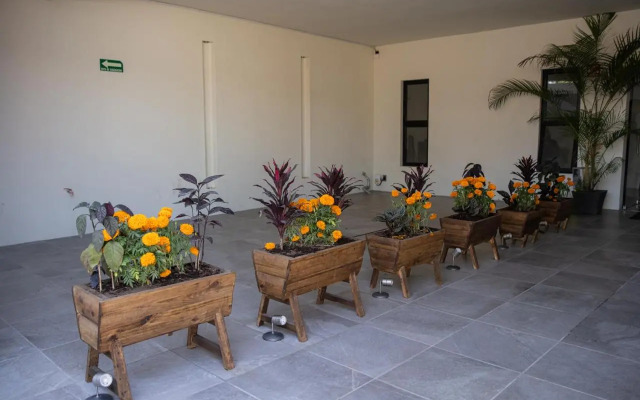 Hotel Casa Jima Agave