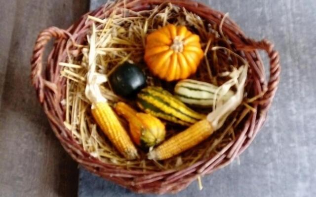 Reiterhof & Pension Lienemann