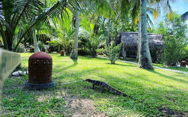 coconut island cabanas