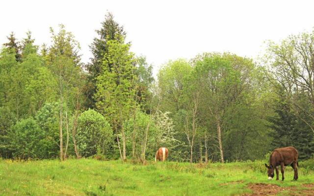 Gîte Lavoine, 5 pièces, 6 personnes - FR-1-489-332