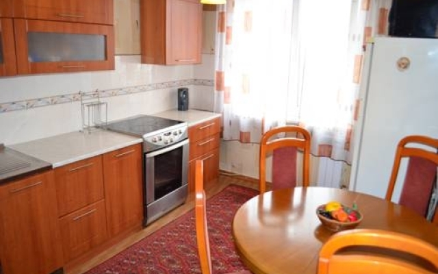 Apartment on Lenina 118