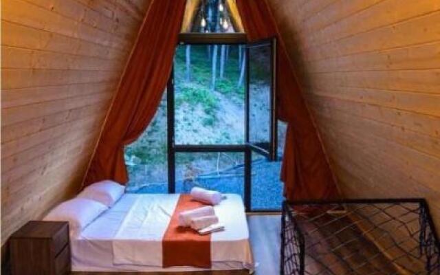 Surami Savannah სურამი სავანა