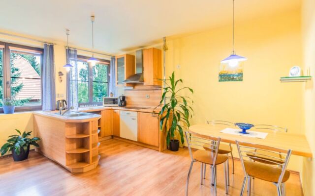 Apartment Alice I Harrachov