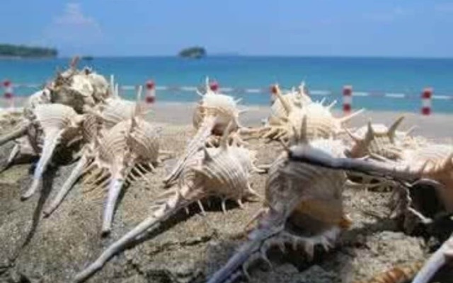 Waisha Yishujia Apartment