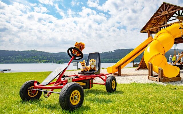 Amenity Hotel & Resort Lipno