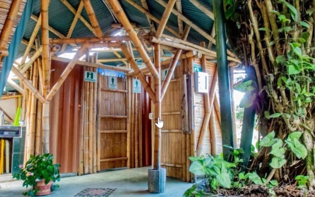 Ecoturismo La Nohelia