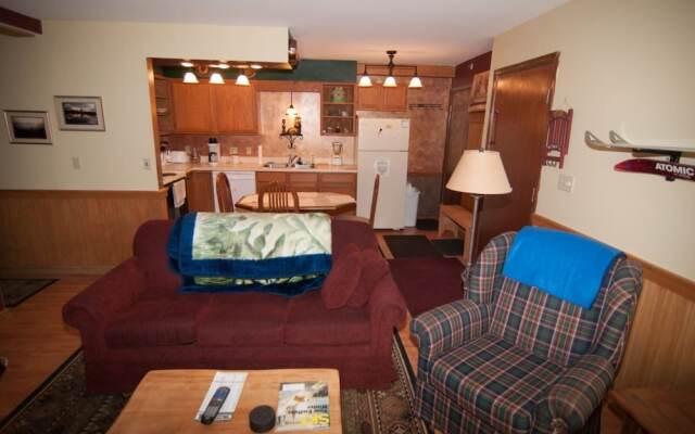 Slopeside Condo D102