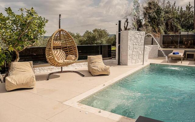 Olive Tree