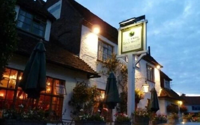 The Frog at Skirmett