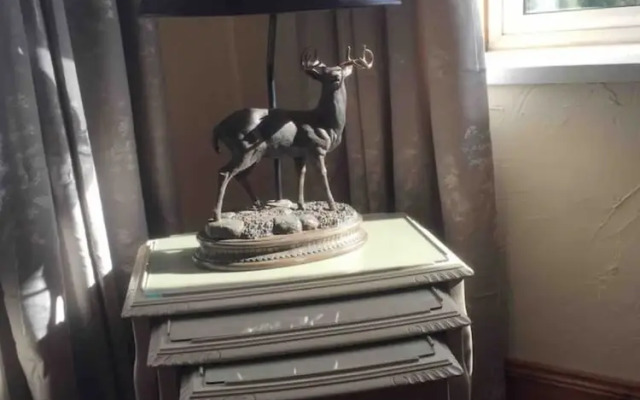 Simmy Taggart Islands