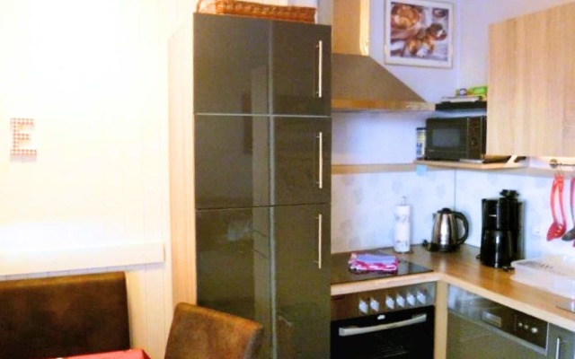 Cozy Apartment in Altenau Harz near Ski Area Hahnenklee