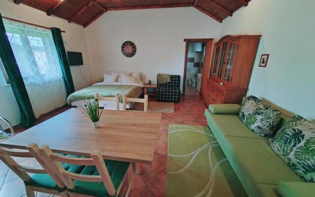 Studio apartman Buteo