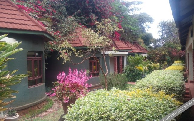 Ngorongoro Lodge & Campsite