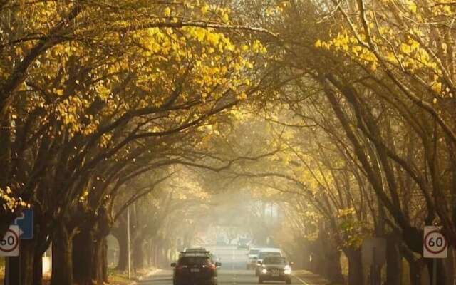 Stables Boutique Motel