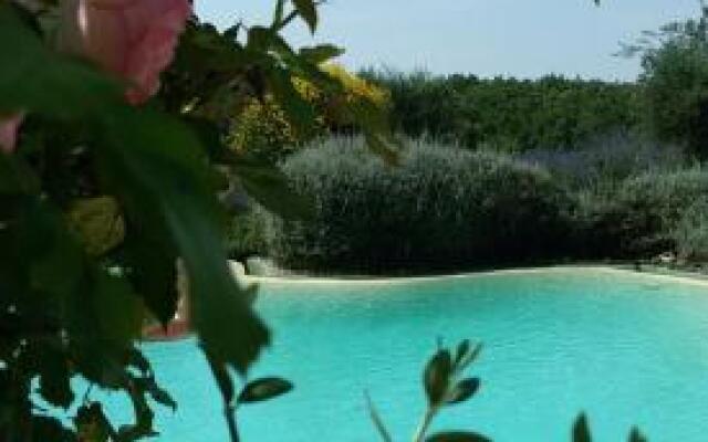 Carrera Della Regina