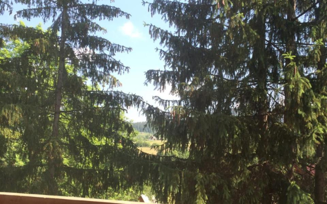 Villa PidStromom