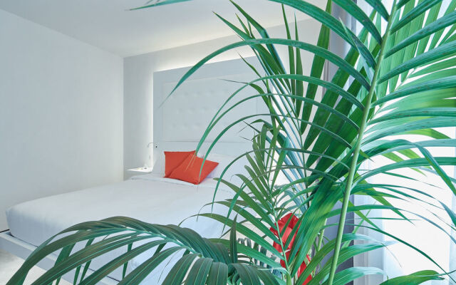 Via Roma 25 B&B