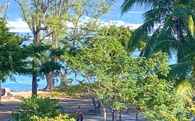 Appartement le Logis Bleu Ocean