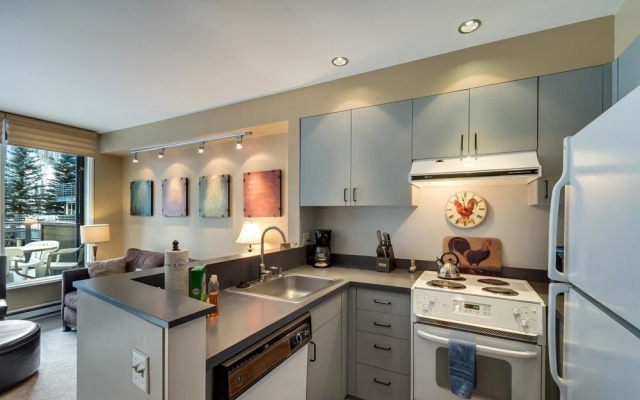 Muscatel Flats 4 1 Bedroom Condo By Accommodations in Telluride