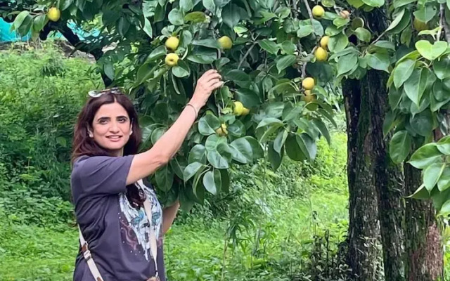 Bougain Villa Cottage