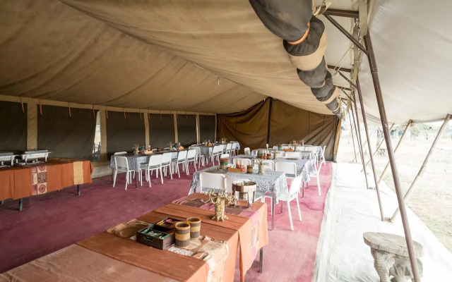 Serengeti Wild Camp