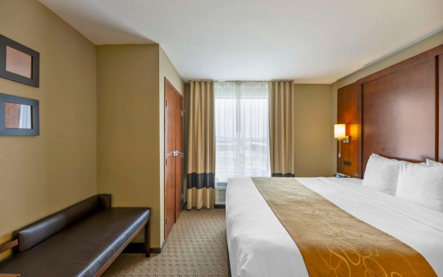Comfort Suites Carlsbad