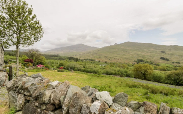Snowdon Vista Cabin