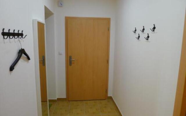 Penthouse Apartment in Vinohrady