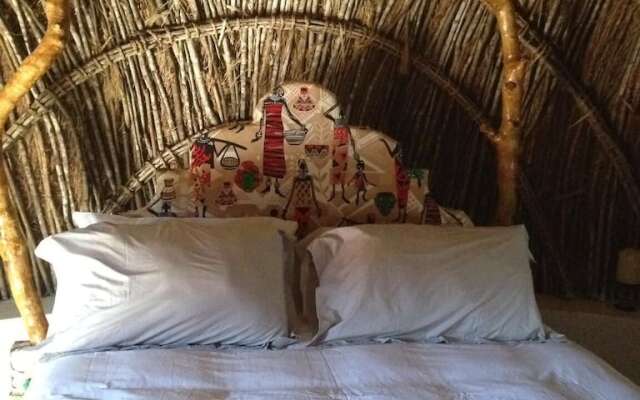 Swazi Dreams Nqabaneni Eco-Volunteering