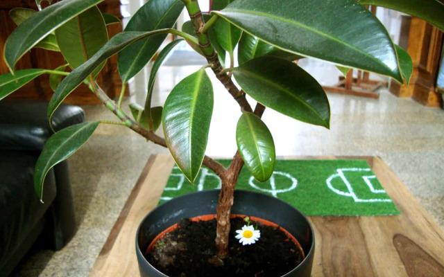 Wombat´s City Hostel Leipzig