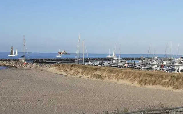 Strandläufer Kühlungsborn