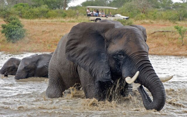 Jabulani Safari