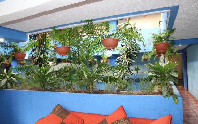 hotel kasa kamelot 2