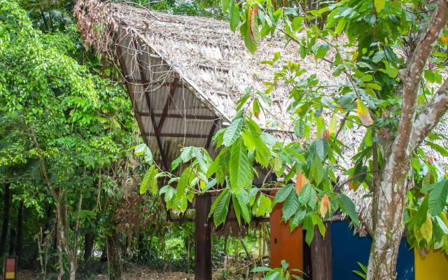 Parque Dos Igarapés