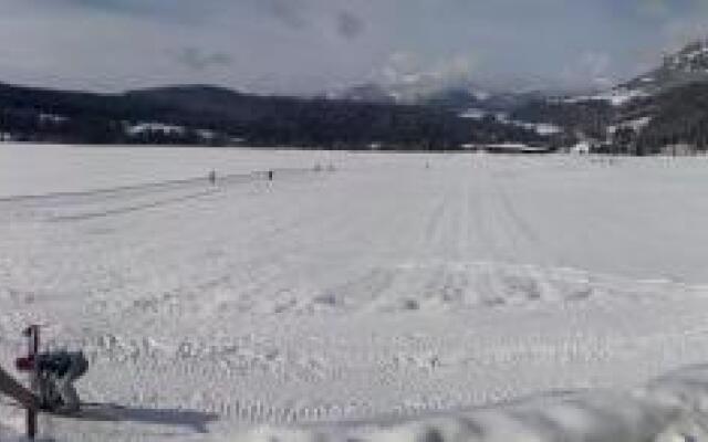 Ferienwohnung mit Sicht auf die Berge (Nähe Flims/Laax)