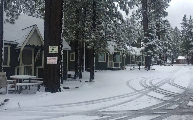 Lily Bear Resort Cal - Pines Chalets