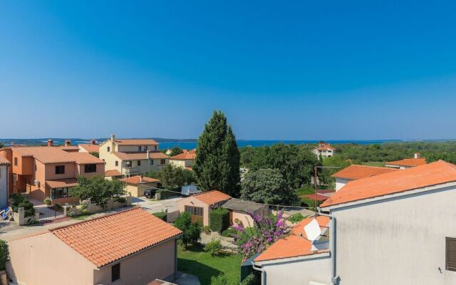 Salamander Pula in Pula