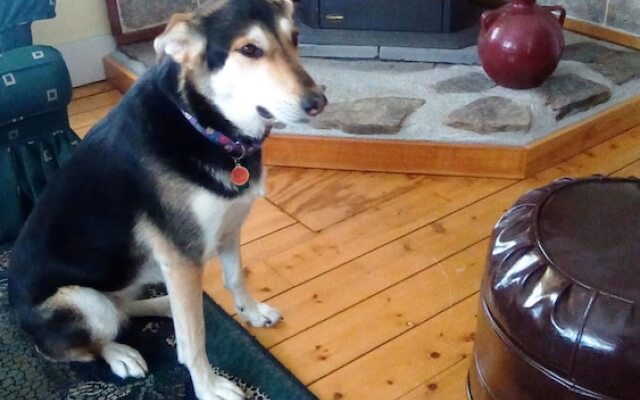 The Rendezvous Bed & Breakfast