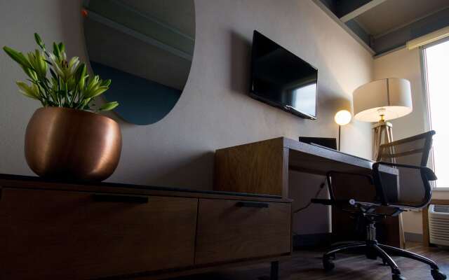 TRYP by Wyndham San Luis Potosi Hotel & Suites