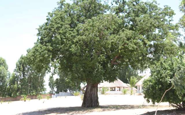 Fish Eagle Bay Lodge