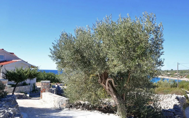 Željko - sea View - H