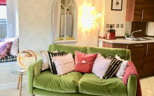 The Little Beech Tree