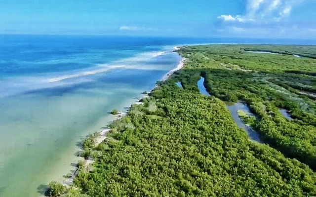Beach Club Escape Holbox