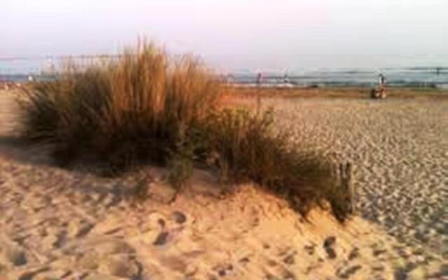 Vittoria Immobilier 8