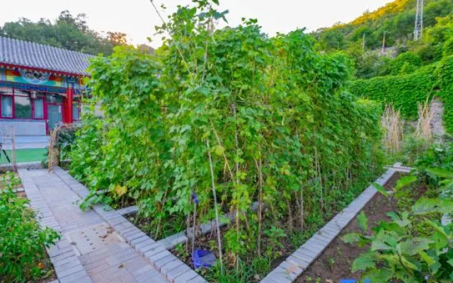Panfu Ju · Serene Landscape Guesthouse (Tianjin Jizhou Panshan Scenic Area Branch) – Outside – Tianjin
